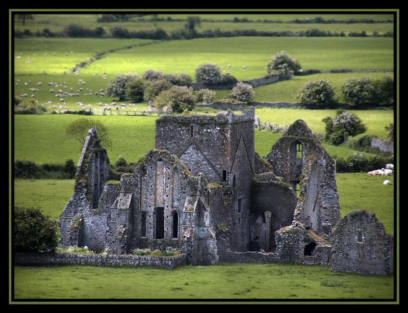 Baileys Hotel Cashel Cashel  Værelse billede