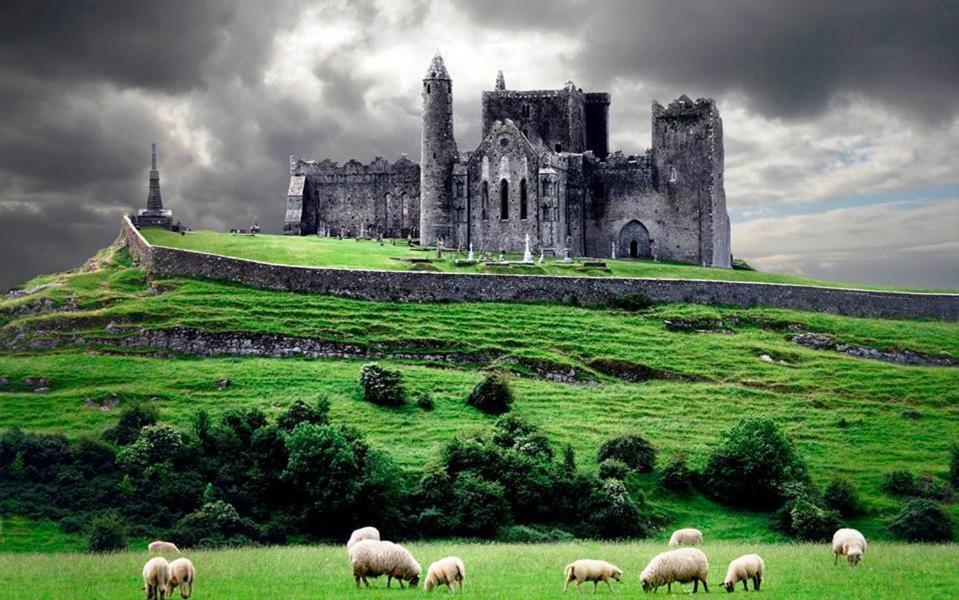 Baileys Hotel Cashel Cashel  Værelse billede